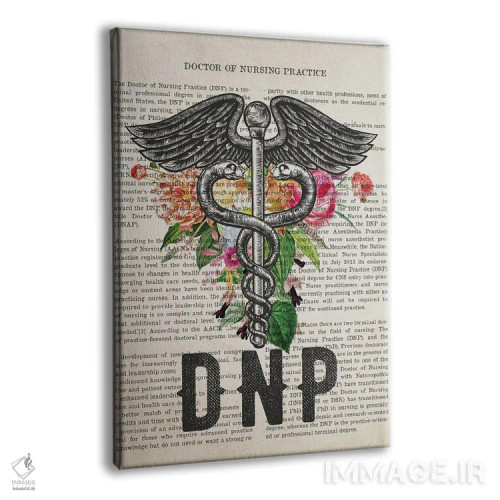 تابلو دکترای پرستاری کارورز (DNP) همراه با گلها اثر پیکسل کهنه (استودیو/نام هنری) - نمای پرسپکتیو محصول