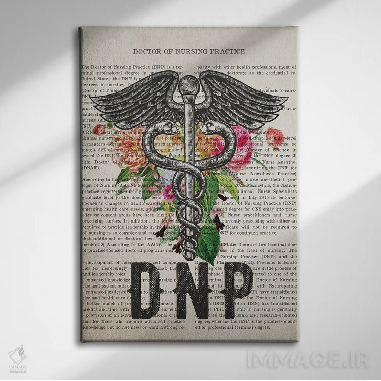 تابلو دکترای پرستاری کارورز (DNP) همراه با گلها اثر پیکسل کهنه (استودیو/نام هنری) - نمای روبهرو روی دیوار