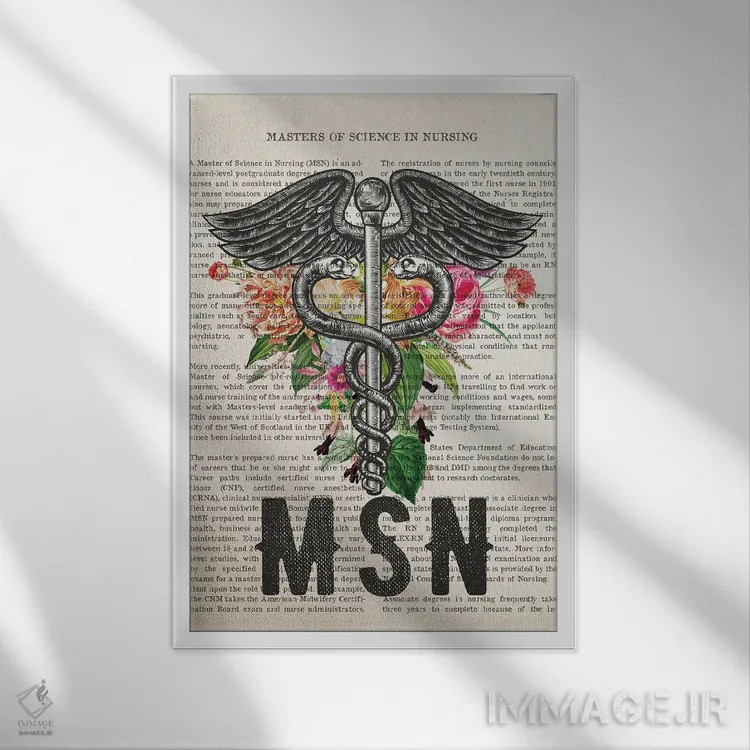 تابلو کارشناسی ارشد پرستاری (MSN) همراه با گلها اثر پیکسل کهنه (استودیو/نام هنری) - نمای قابدار سفید