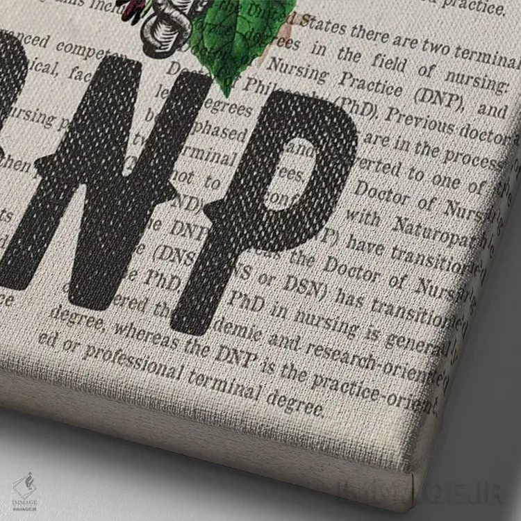 تابلو دکترای پرستاری کارورز (DNP) همراه با گلها اثر پیکسل کهنه (استودیو/نام هنری) - نمای نزدیک بافت بوم