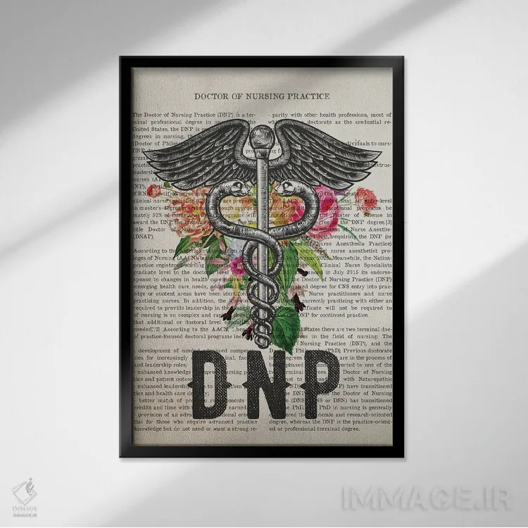 تابلو دکترای پرستاری کارورز (DNP) همراه با گلها اثر پیکسل کهنه (استودیو/نام هنری) - نمای قابدار مشکی