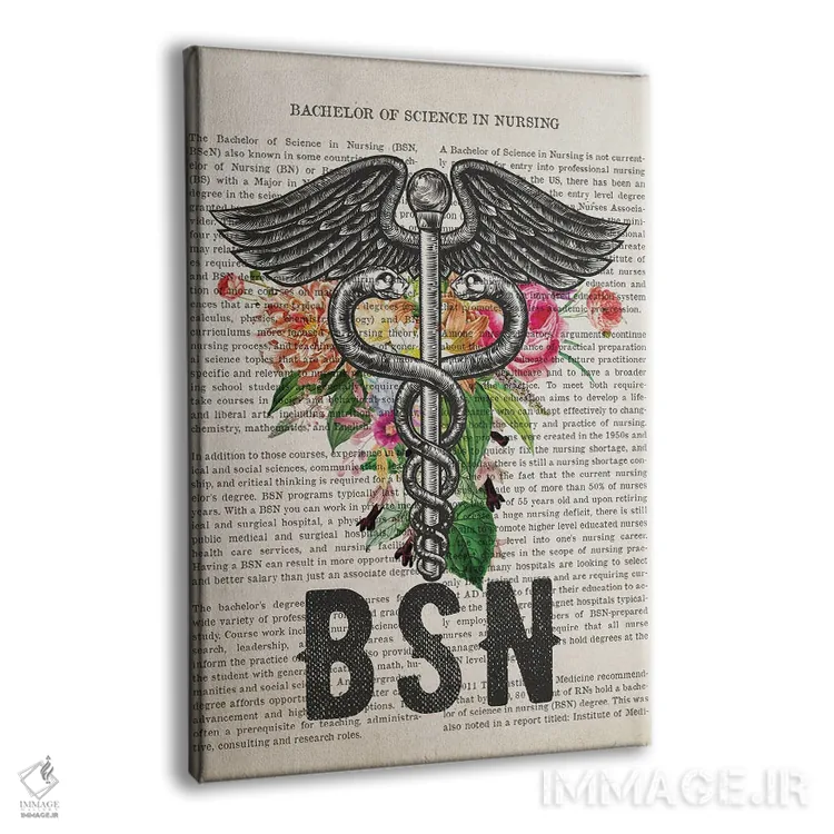 تابلو لیسانس پرستاری (BSN) همراه با گلها اثر پیکسل کهنه (استودیو/نام هنری) - نمای پرسپکتیو محصول