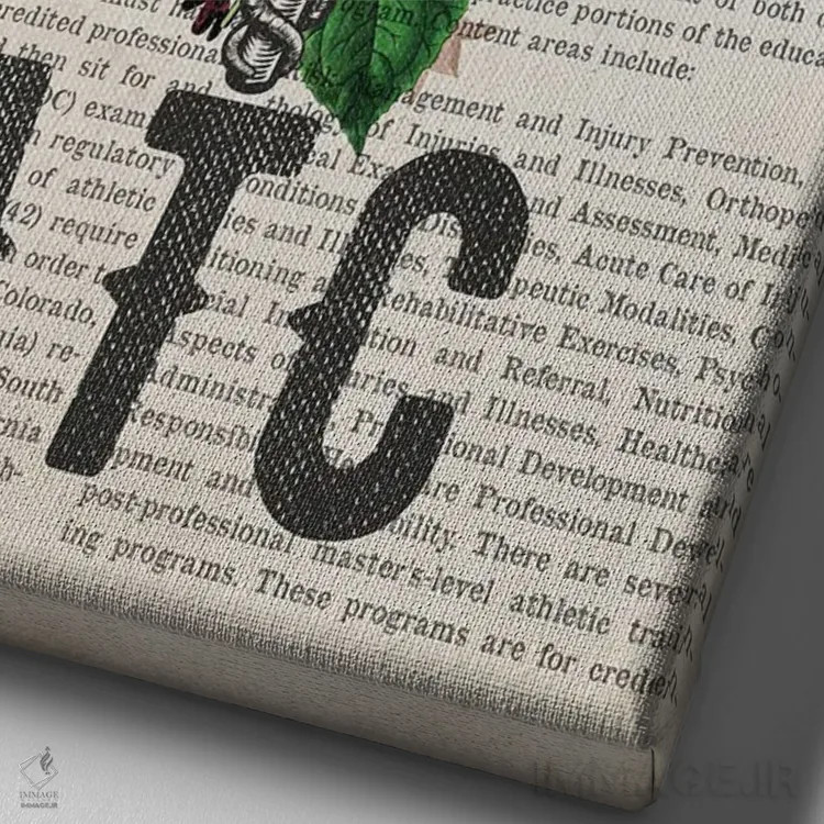 تابلو مربی ورزشی دارای گواهی (ATC) همراه با گلها اثر پیکسل کهنه (استودیو/نام هنری) - نمای نزدیک بافت بوم