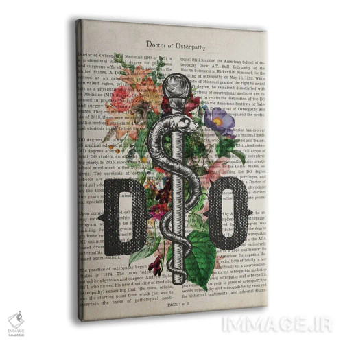 تابلو دکترای استئوپاتی (DO) همراه با گلها اثر پیکسل کهنه (استودیو/نام هنری) - نمای پرسپکتیو محصول