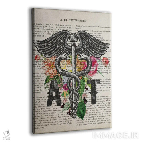 تابلو مربی ورزشی (AT) همراه با گلها اثر پیکسل کهنه (استودیو/نام هنری) - نمای پرسپکتیو محصول