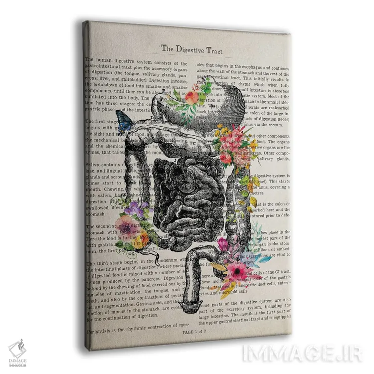 تابلو دستگاه گوارش اثر پیکسل کهنه (استودیو/نام هنری) - نمای پرسپکتیو محصول