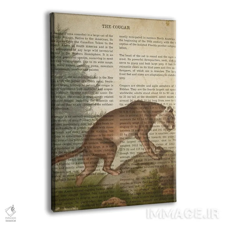 تابلو چاپ وینتیج پلنگ کوهستان اثر پیکسل کهنه (استودیو/نام هنری) - نمای پرسپکتیو محصول