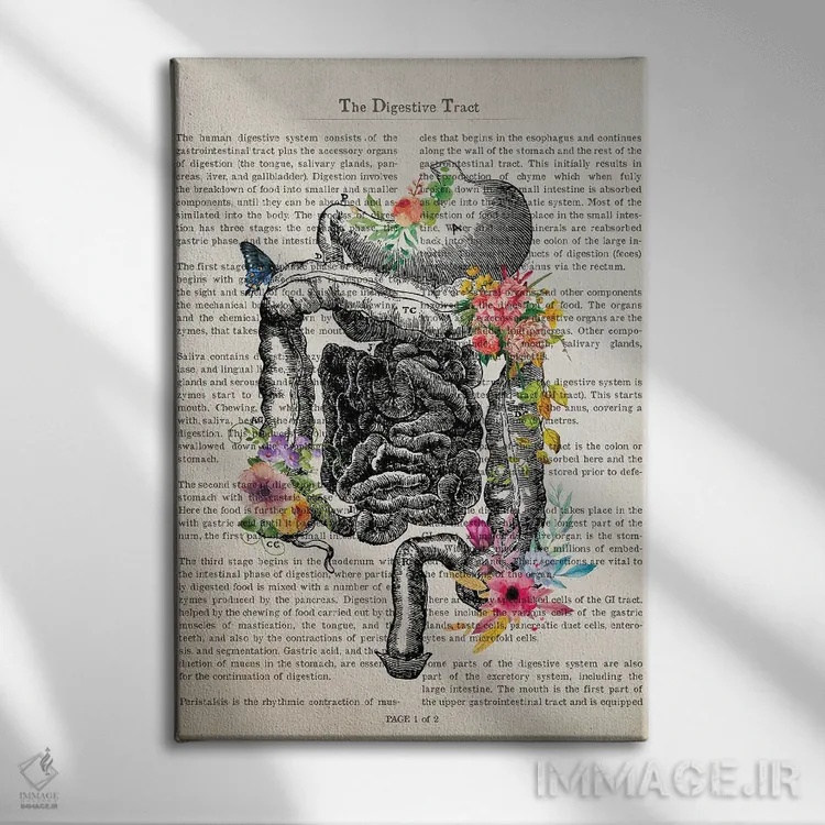 تابلو دستگاه گوارش اثر پیکسل کهنه (استودیو/نام هنری) - نمای روبهرو روی دیوار