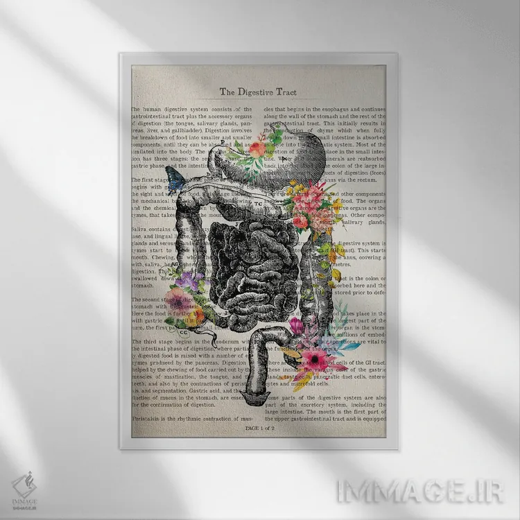 تابلو دستگاه گوارش اثر پیکسل کهنه (استودیو/نام هنری) - نمای قابدار سفید