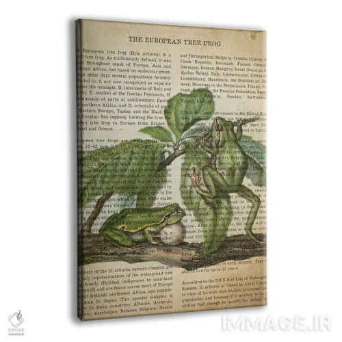 تابلو چاپ وینتیج قورباغه درختی اثر پیکسل کهنه (استودیو/نام هنری) - نمای پرسپکتیو محصول