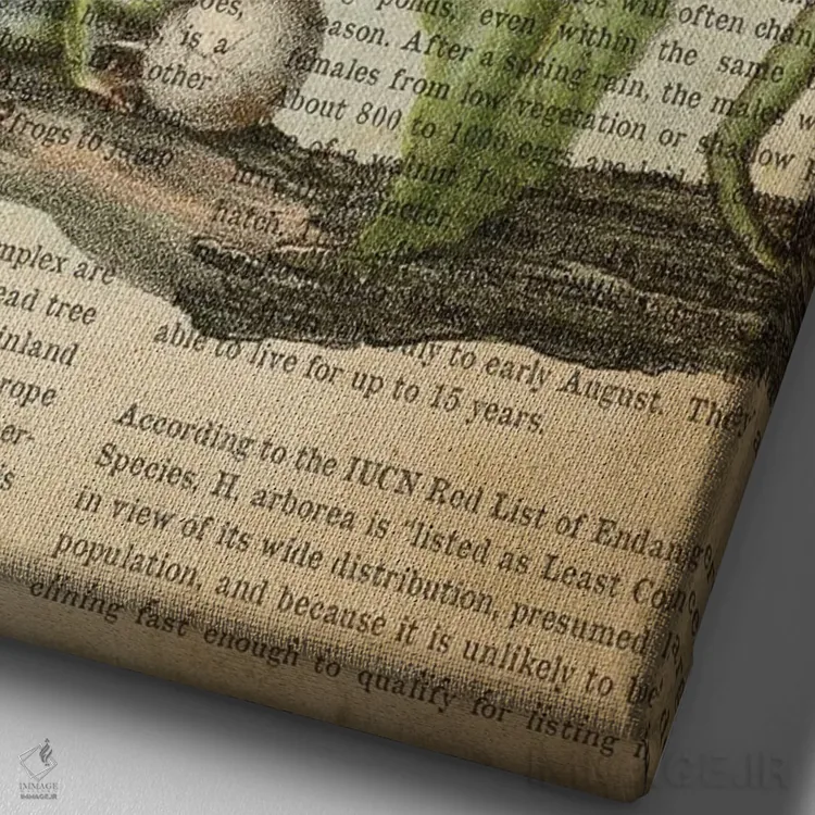 تابلو چاپ وینتیج قورباغه درختی اثر پیکسل کهنه (استودیو/نام هنری) - نمای نزدیک بافت بوم