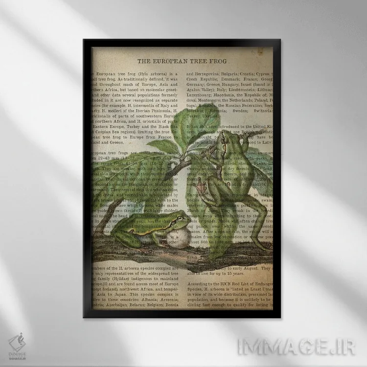 تابلو چاپ وینتیج قورباغه درختی اثر پیکسل کهنه (استودیو/نام هنری) - نمای قابدار مشکی