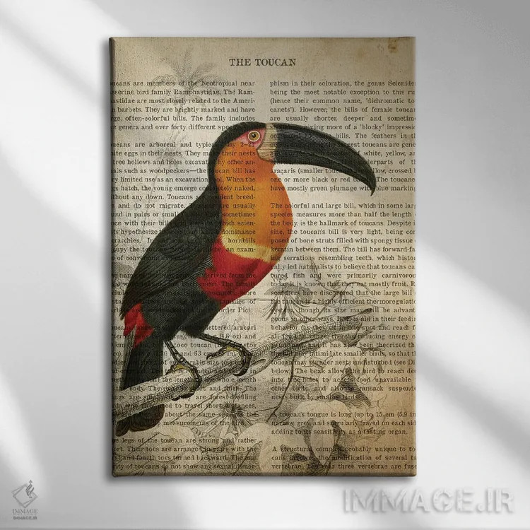 تابلو چاپ وینتیج توکان اثر پیکسل کهنه (استودیو/نام هنری) - نمای روبهرو روی دیوار