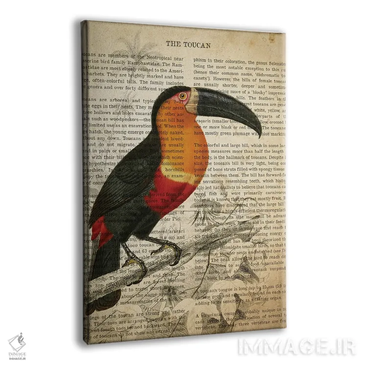 تابلو چاپ وینتیج توکان اثر پیکسل کهنه (استودیو/نام هنری) - نمای پرسپکتیو محصول