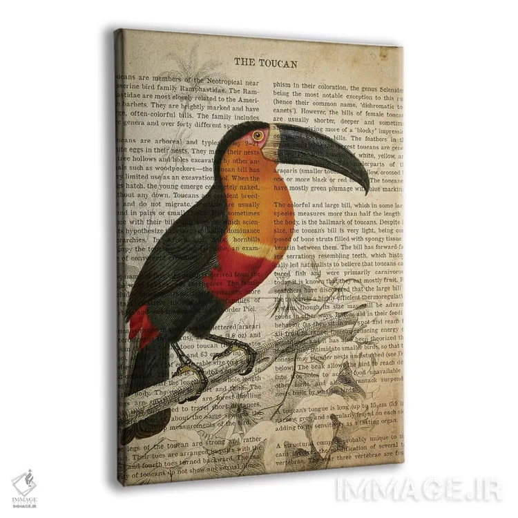 تابلو چاپ وینتیج توکان اثر پیکسل کهنه (استودیو/نام هنری) - نمای پرسپکتیو محصول