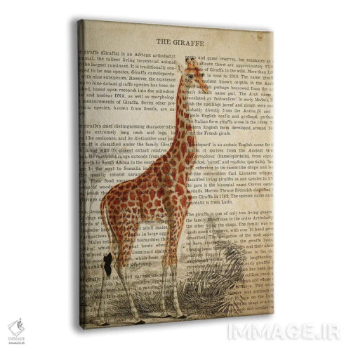 تابلو چاپ وینتیج زرافه اثر پیکسل کهنه (استودیو/نام هنری) - نمای پرسپکتیو محصول