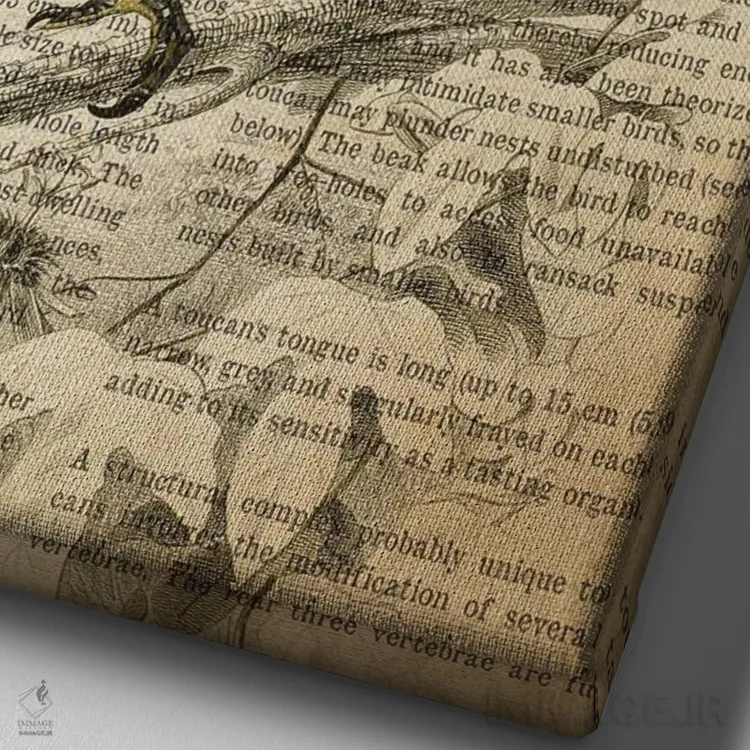 تابلو چاپ وینتیج توکان اثر پیکسل کهنه (استودیو/نام هنری) - نمای نزدیک بافت بوم