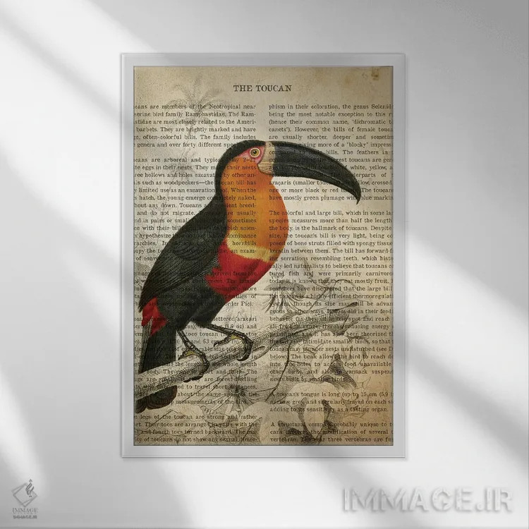 تابلو چاپ وینتیج توکان اثر پیکسل کهنه (استودیو/نام هنری) - نمای قابدار سفید