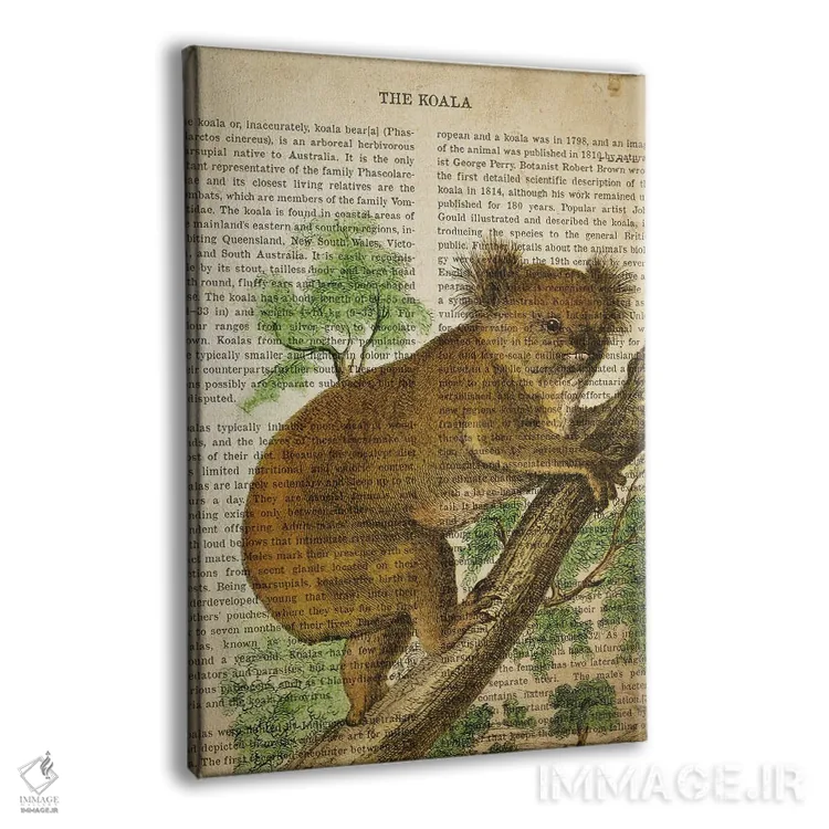 تابلو چاپ وینتیج کوآلا اثر پیکسل کهنه (استودیو/نام هنری) - نمای پرسپکتیو محصول