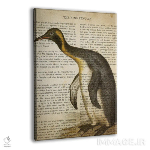 تابلو چاپ وینتیج پنگوئن اثر پیکسل کهنه (استودیو/نام هنری) - نمای پرسپکتیو محصول
