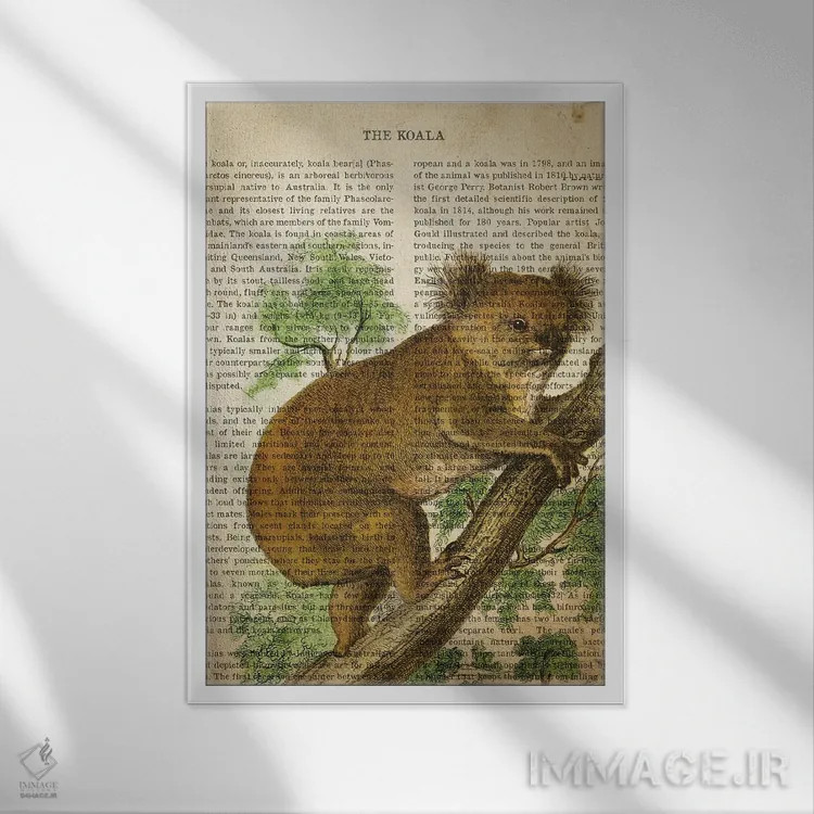 تابلو چاپ وینتیج کوآلا اثر پیکسل کهنه (استودیو/نام هنری) - نمای قابدار سفید