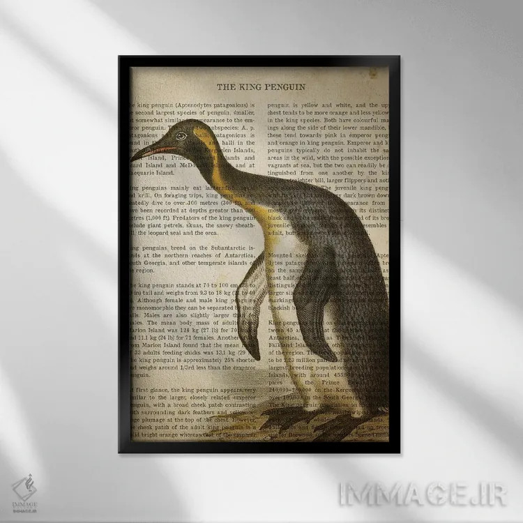 تابلو چاپ وینتیج پنگوئن اثر پیکسل کهنه (استودیو/نام هنری) - نمای قابدار مشکی