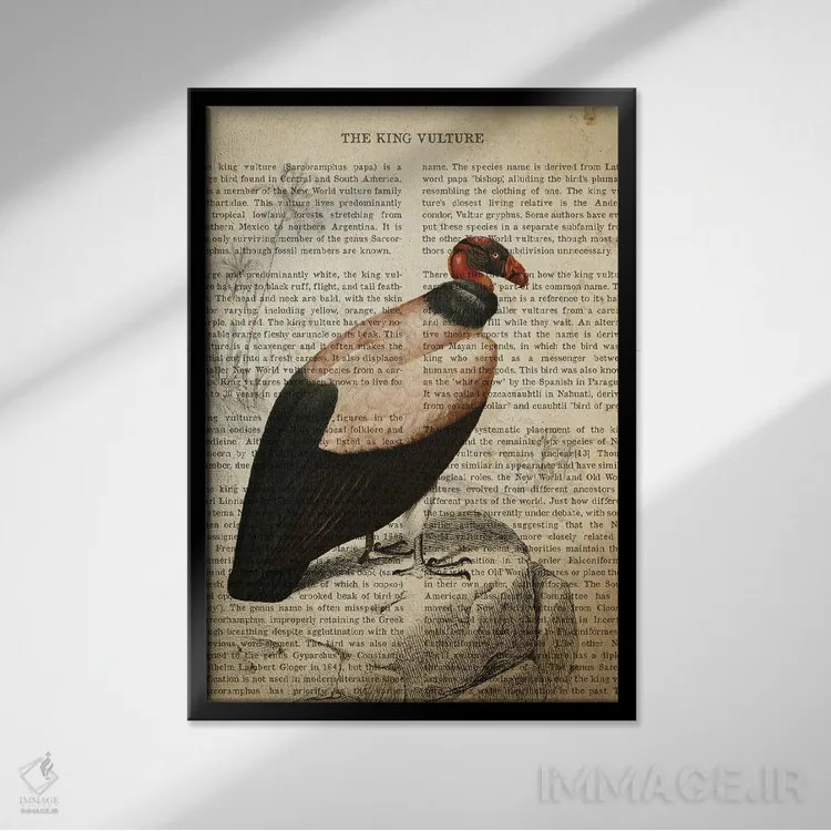 تابلو چاپ وینتیج کرکس پادشاه اثر پیکسل کهنه (استودیو/نام هنری) - نمای قابدار مشکی