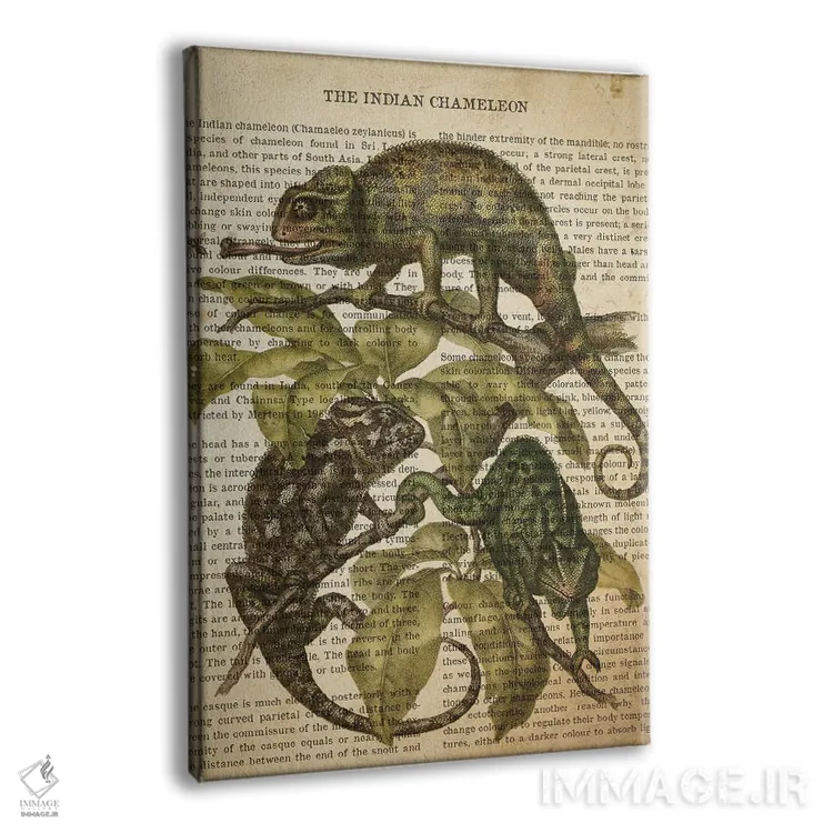 تابلو چاپ وینتیج آفتابپرست هندی اثر پیکسل کهنه (استودیو/نام هنری) - نمای پرسپکتیو محصول