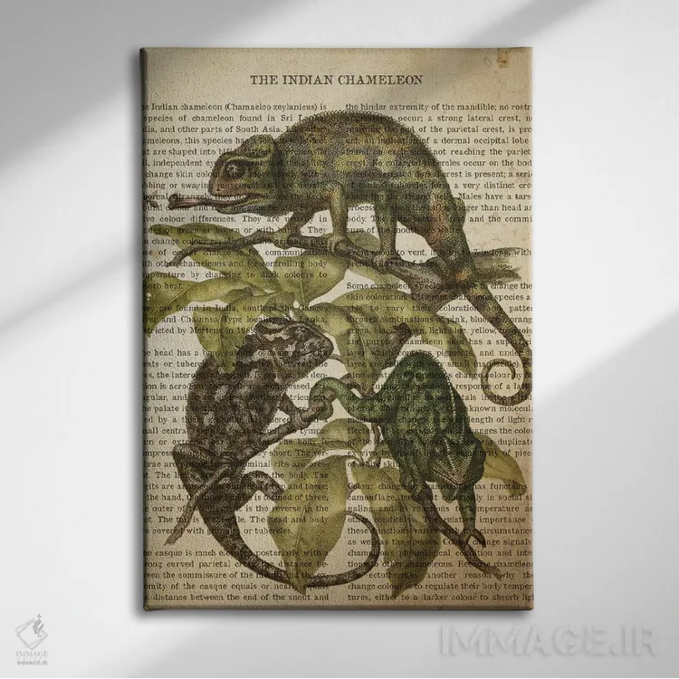 تابلو چاپ وینتیج آفتابپرست هندی اثر پیکسل کهنه (استودیو/نام هنری) - نمای روبهرو روی دیوار