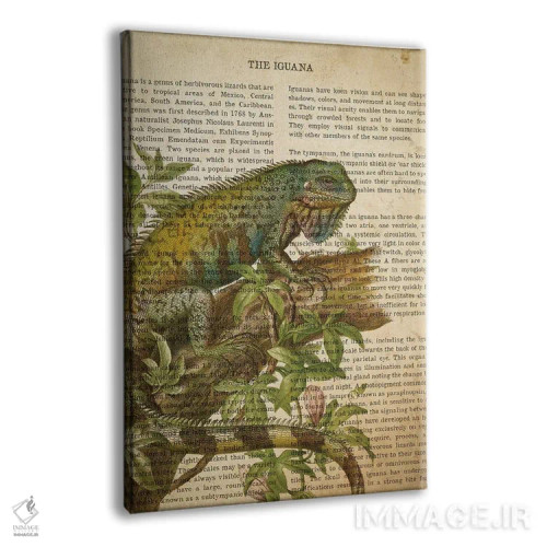 تابلو چاپ وینتیج ایگوانا اثر پیکسل کهنه (استودیو/نام هنری) - نمای پرسپکتیو محصول