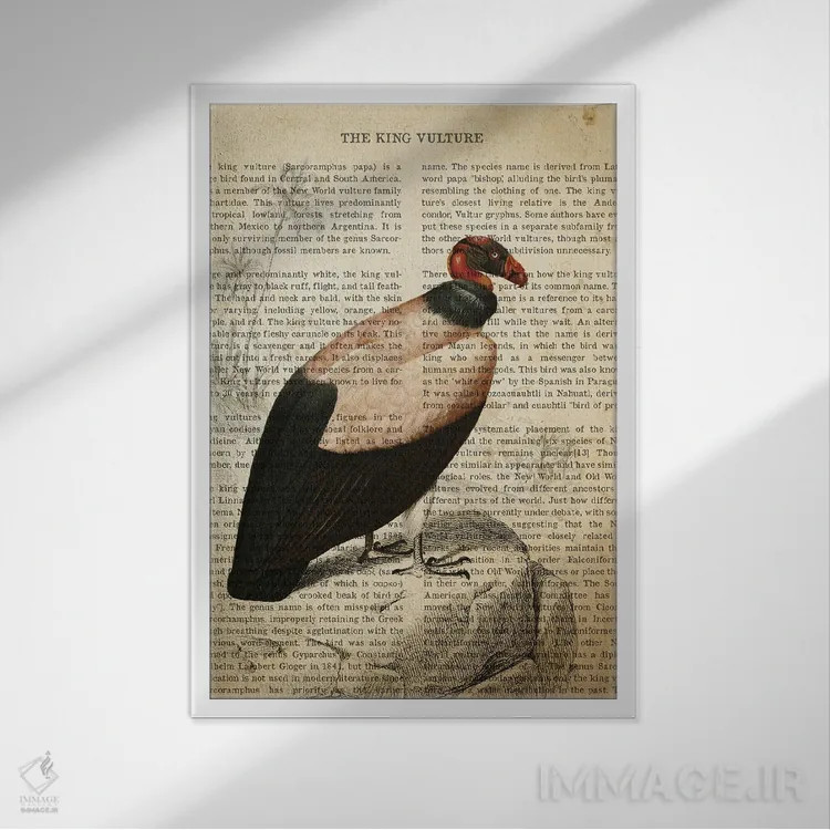 تابلو چاپ وینتیج کرکس پادشاه اثر پیکسل کهنه (استودیو/نام هنری) - نمای قابدار سفید