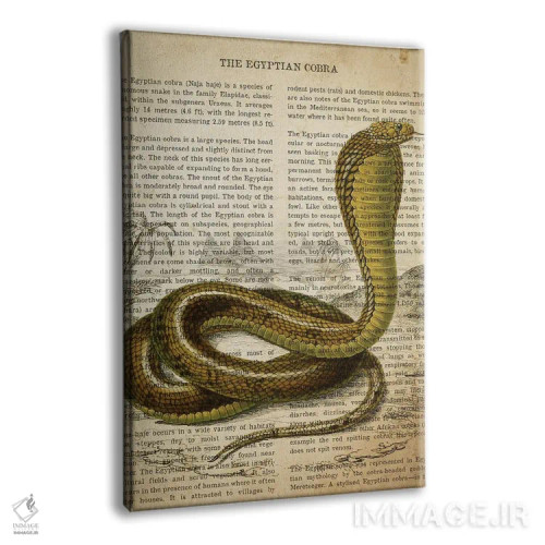 تابلو چاپ وینتیج کبری مصری اثر پیکسل کهنه (استودیو/نام هنری) - نمای پرسپکتیو محصول