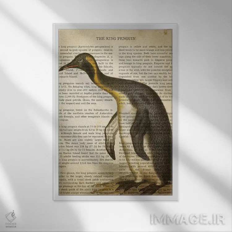 تابلو چاپ وینتیج پنگوئن اثر پیکسل کهنه (استودیو/نام هنری) - نمای قابدار سفید