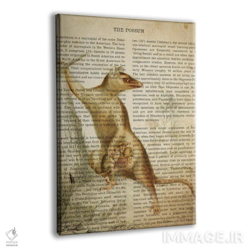 تابلو چاپ وینتیج پوزوم اثر پیکسل کهنه (استودیو/نام هنری) - نمای پرسپکتیو محصول