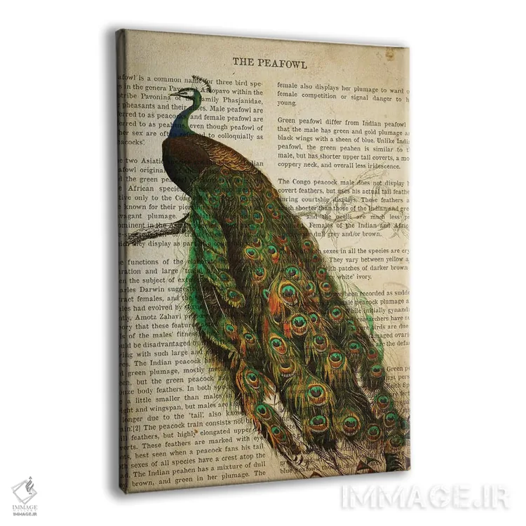 تابلو چاپ وینتیج طاووس اثر پیکسل کهنه (استودیو/نام هنری) - نمای پرسپکتیو محصول