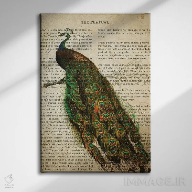 تابلو چاپ وینتیج طاووس اثر پیکسل کهنه (استودیو/نام هنری) - نمای روبهرو روی دیوار