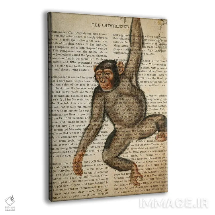 تابلو چاپ وینتیج شامپانزه اثر پیکسل کهنه (استودیو/نام هنری) - نمای پرسپکتیو محصول