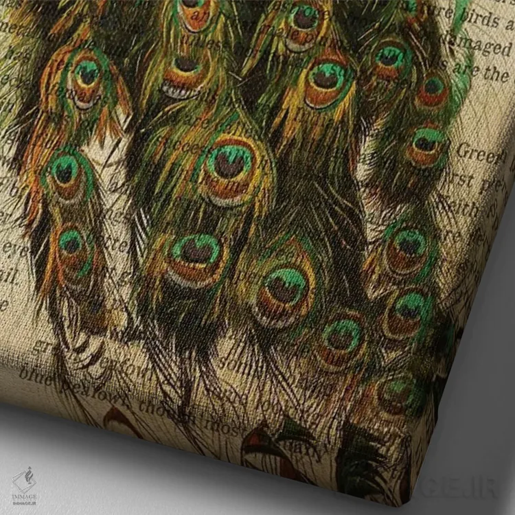 تابلو چاپ وینتیج طاووس اثر پیکسل کهنه (استودیو/نام هنری) - نمای نزدیک بافت بوم