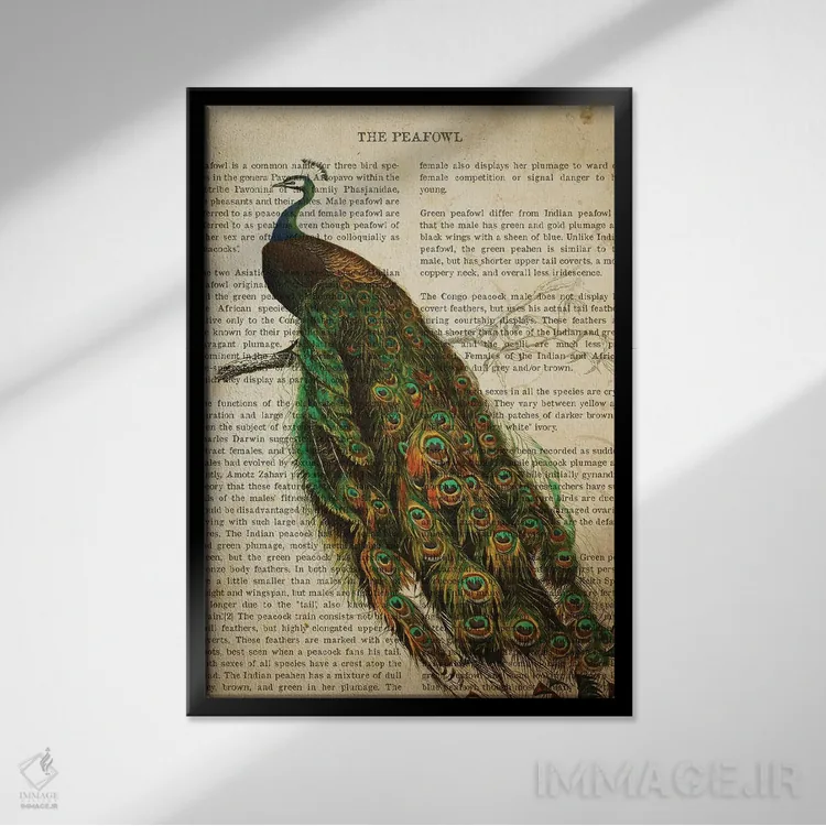 تابلو چاپ وینتیج طاووس اثر پیکسل کهنه (استودیو/نام هنری) - نمای قابدار مشکی