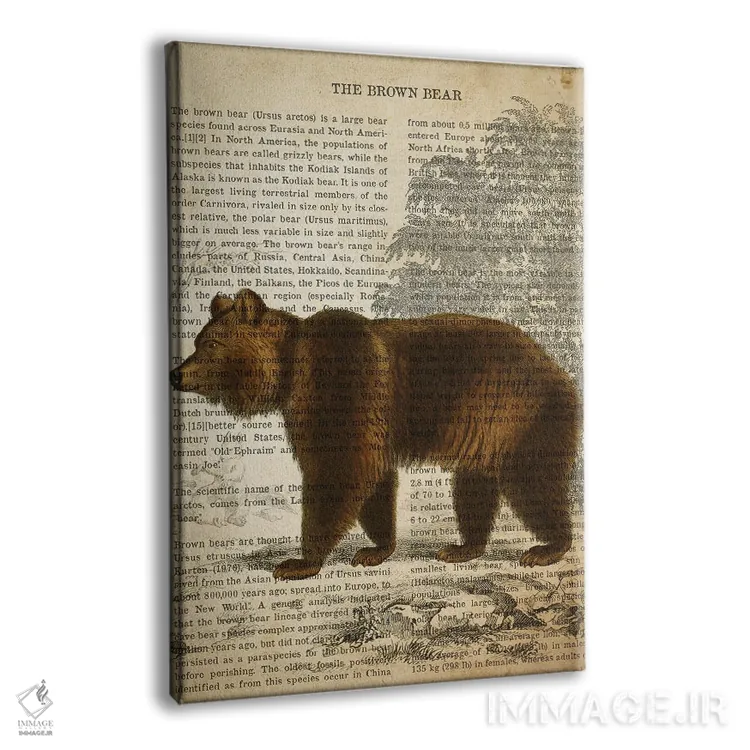 تابلو چاپ وینتیج خرس قهوهای اثر پیکسل کهنه (استودیو/نام هنری) - نمای پرسپکتیو محصول