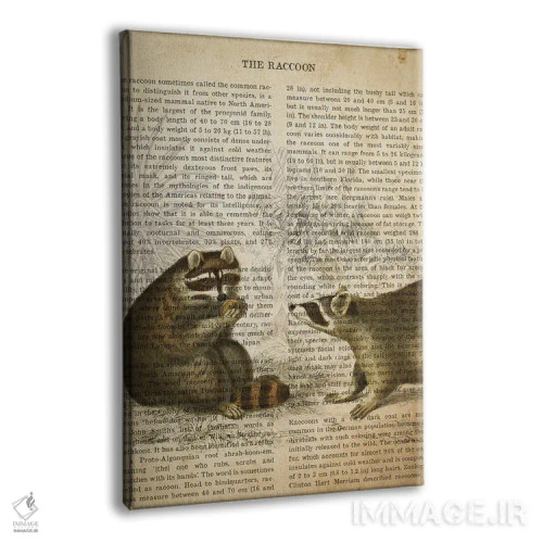 تابلو چاپ وینتیج راکون (شبیه خرس کوچولو) اثر پیکسل کهنه (استودیو/نام هنری) - نمای پرسپکتیو محصول