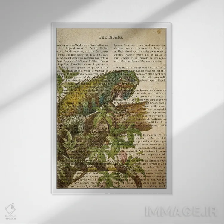 تابلو چاپ وینتیج ایگوانا اثر پیکسل کهنه (استودیو/نام هنری) - نمای قابدار سفید