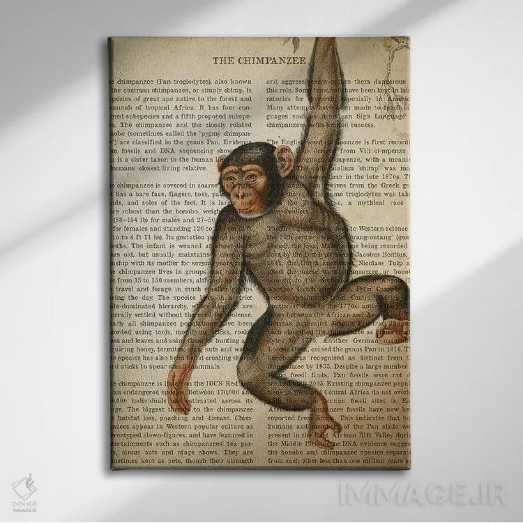 تابلو چاپ وینتیج شامپانزه اثر پیکسل کهنه (استودیو/نام هنری) - نمای روبهرو روی دیوار