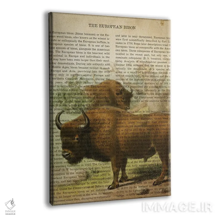 تابلو چاپ وینتیج گاومیش اروپایی اثر پیکسل کهنه (استودیو/نام هنری) - نمای پرسپکتیو محصول