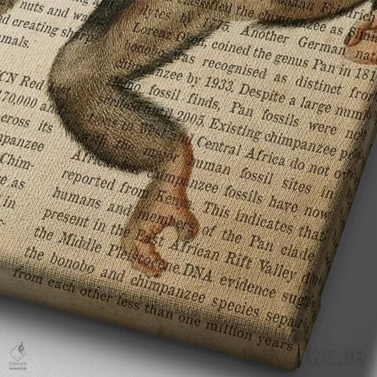 تابلو چاپ وینتیج شامپانزه اثر پیکسل کهنه (استودیو/نام هنری) - نمای نزدیک بافت بوم