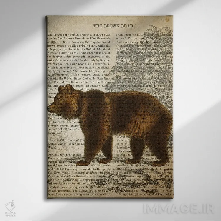 تابلو چاپ وینتیج خرس قهوهای اثر پیکسل کهنه (استودیو/نام هنری) - نمای روبهرو روی دیوار