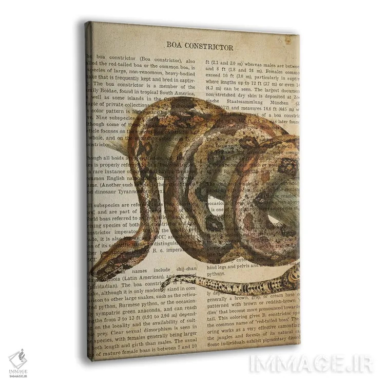 تابلو چاپ وینتیج مار بوآ کُنستریکتر اثر پیکسل کهنه (استودیو/نام هنری) - نمای پرسپکتیو محصول