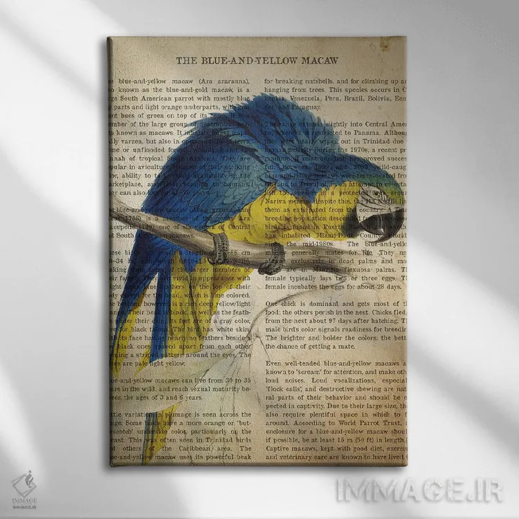 تابلو چاپ وینتیج ماکائو آبی و زرد اثر پیکسل کهنه (استودیو/نام هنری) - نمای روبهرو روی دیوار