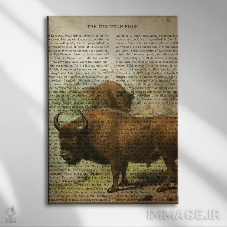 تابلو چاپ وینتیج گاومیش اروپایی اثر پیکسل کهنه (استودیو/نام هنری) - نمای روبهرو روی دیوار