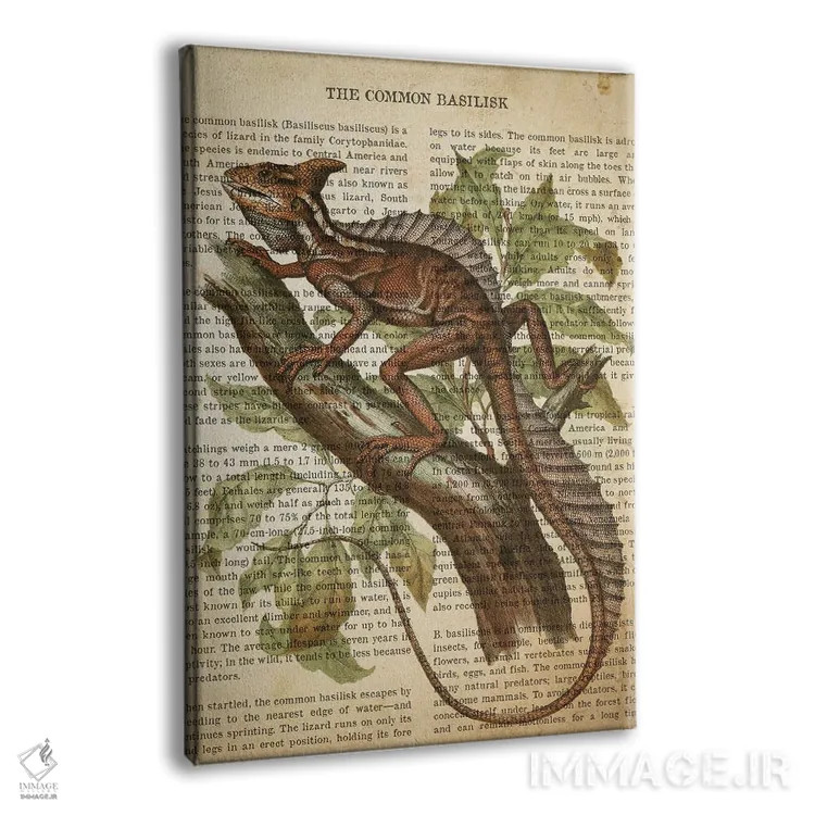 تابلو چاپ وینتیج باسیلیسک معمولی (نوعی مارمولک) اثر پیکسل کهنه (استودیو/نام هنری) - نمای پرسپکتیو محصول